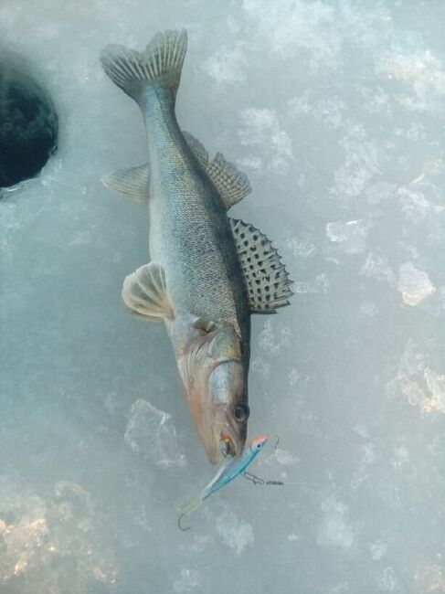 Балансир Lucky John VIKING 6 с тр. 60мм/15H блистер Балансир Lucky John VIKING 6 с тр. 60мм/15H блистер