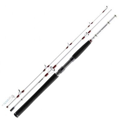 Спиннинг DAIWA TD Travel Pilk 2,25м 150-250гр TDB764HFS-BD