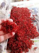 Мотыль крупный  УРАЛ Мотыль крупный  УРАЛ