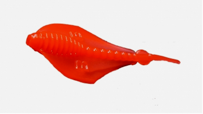 Силиконовая приманка Boroda Baits Manta чеснок в ассортименте