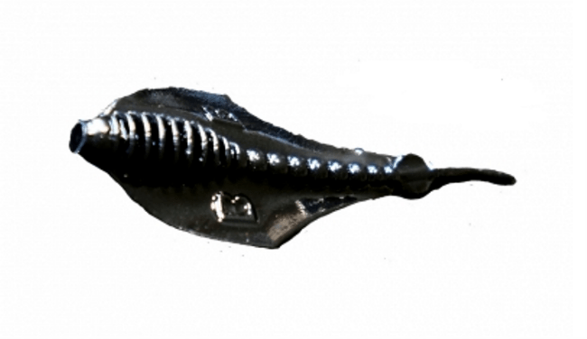 Силиконовая приманка Boroda Baits Manta чеснок в ассортименте