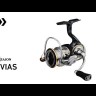 Катушка DAIWA '20 Luvias FC LT2000S