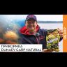 Прикормка DUNAEV World Champion 1кг Carp Natural