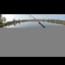 Воблер ZipBaits Rigge 90F 90мм 9.5гр 0.5-1.0м 313R