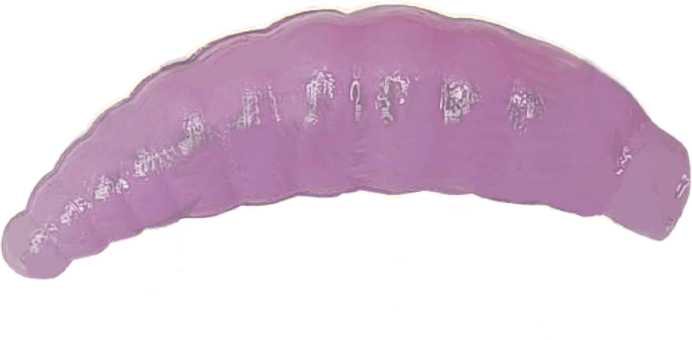 Силиконовая приманка COOL PLACE Maggot Stretch 1.6" Сыр #Сиреневый 10шт/уп Силиконовая приманка COOL PLACE Maggot Stretch 1.6" Сыр #Сиреневый 10шт/уп