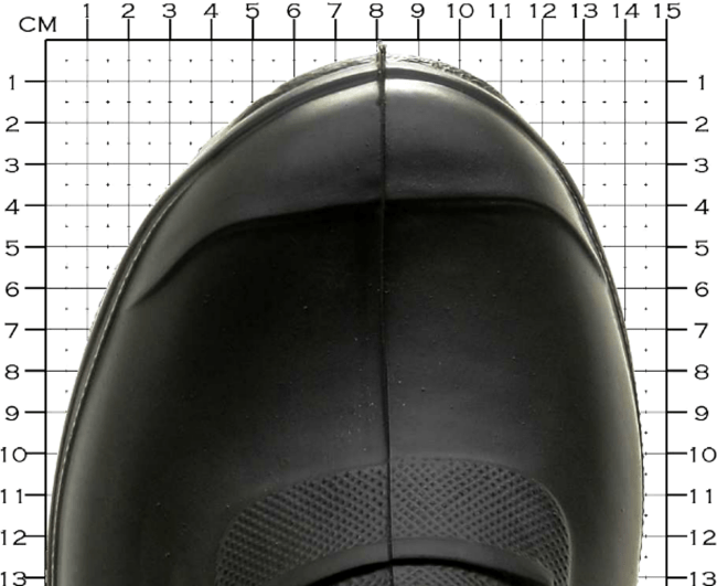 Сапоги мужские SPECI.ALL Class -40°С из ЭВА с манжетой 960-40AS р.:45-46 цв.: черный