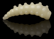 Силиконовая приманка SOOREX PRO Major 36мм 1.1гр Сыр #210 Зелёное свечение/ Green glow 6шт/уп Силиконовая приманка SOOREX PRO Major 36мм 1.1гр Сыр #210 Зелёное свечение/ Green glow 6шт/уп