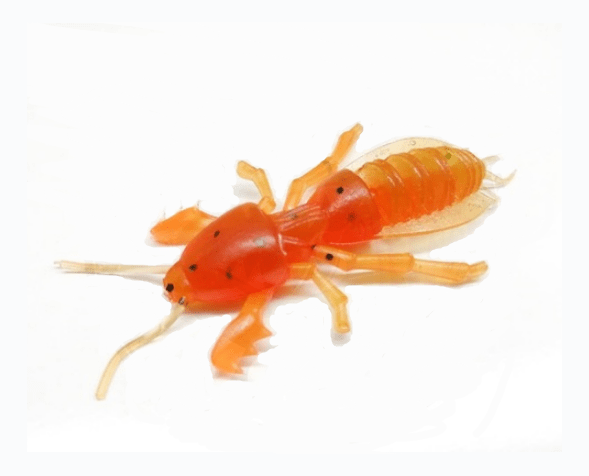 Силиконовая приманка SKELETON FISH Medvedka 3.5" 3шт/уп цв.:23