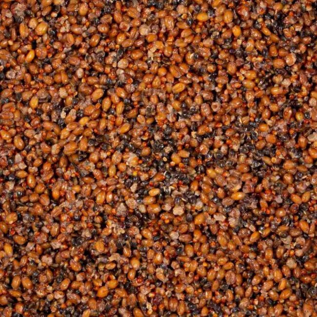 Прикормка MINENKO PM Baits Bird Food (птичий корм) 1кг Прикормка MINENKO PM Baits Bird Food (птичий корм) 1кг