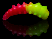 Силиконовая приманка SOOREX PRO Major 36мм 1.1гр Сыр #302 Шартрез- Фуксия/ Chartreuse-Fuchsia 6шт/уп Силиконовая приманка SOOREX PRO Major 36мм 1.1гр Сыр #302 Шартрез- Фуксия/ Chartreuse-Fuchsia 6шт/уп