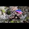 Тейл-спиннер GROWS CULTURE Little Bomb 21гр #014