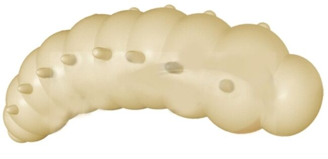 Силиконовая приманка FRESH LURES Mokhnatka 1.2”/30мм Сыр #105 8шт/уп Силиконовая приманка FRESH LURES Mokhnatka 1.2”/30мм Сыр #105 8шт/уп