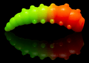 Силиконовая приманка SOOREX PRO Major 36мм 1.1гр Сыр #307 Оранжевый-Шартрез/Orange-Chartreuse 6шт/уп Силиконовая приманка SOOREX PRO Major 36мм 1.1гр Сыр #307 Оранжевый-Шартрез/Orange-Chartreuse 6шт/уп