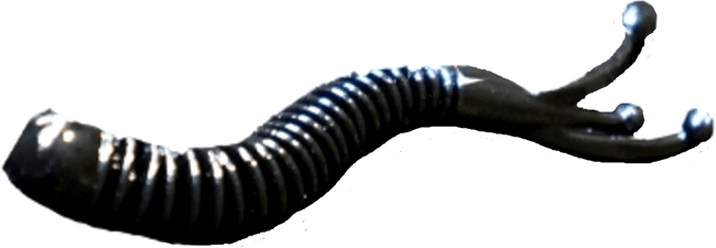 Силикон приманка BORODA BAITS Jester 60мм 1.1гр Чёрн Сыр 10шт/уп Силикон приманка BORODA BAITS Jester 60мм 1.1гр Чёрн Сыр 10шт/уп