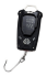 Весы электронные Rapala RCD (25 кг.) RCDDS25 Весы электронные Rapala RCD (25 кг.) RCDDS25