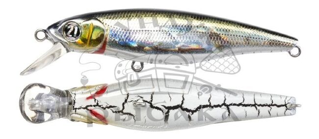 Воблер PONTOON21 GreedyGuts 99SP-SR 99мм 15.4гр 0,9-1,3м 430 CB Funa Воблер PONTOON21 GreedyGuts 99SP-SR 99мм 15.4гр 0,9-1,3м 430 CB Funa