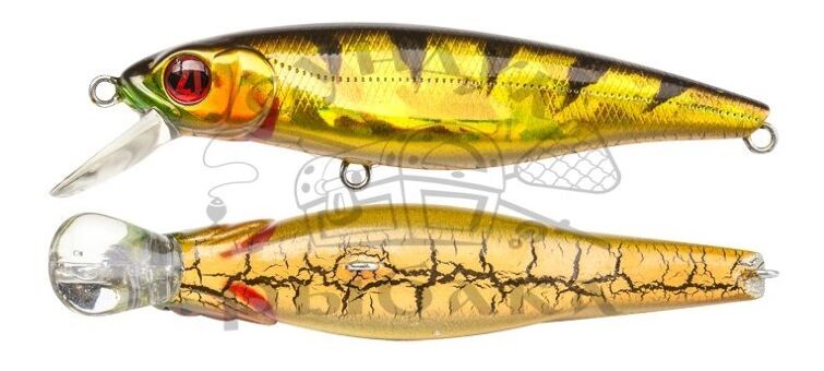Воблер PONTOON21 GreedyGuts 99SP-SR 99мм 15.4гр  0,9-1,3м 437 CB Crash HG Gold Perch Воблер PONTOON21 GreedyGuts 99SP-SR 99мм 15.4гр  0,9-1,3м 437 CB Crash HG Gold Perch