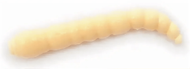 Силикон приманка BORODA BAITS Kora Buba SS 35мм 0.7гр Молочный апельсин Сыр 12шт/уп