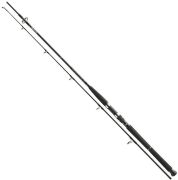 Спиннинг DAIWA BG Boat 2.10м 150-400гр (BGB702XXHFS-AD)