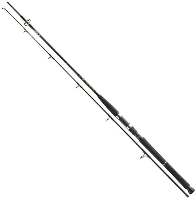 Спиннинг DAIWA BG Boat 2.10м 150-400гр (BGB702XXHFS-AD)