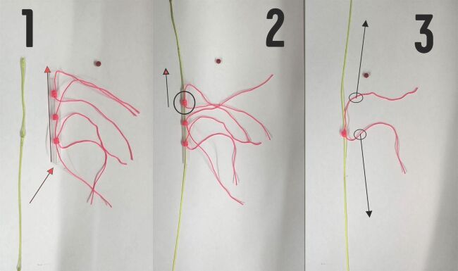 Стопора BALZER Line stopor 0,40 - 0,60мм 6шт/уп (15922 004) Стопора BALZER Line stopor 0,40 - 0,60мм 6шт/уп (15922 004)