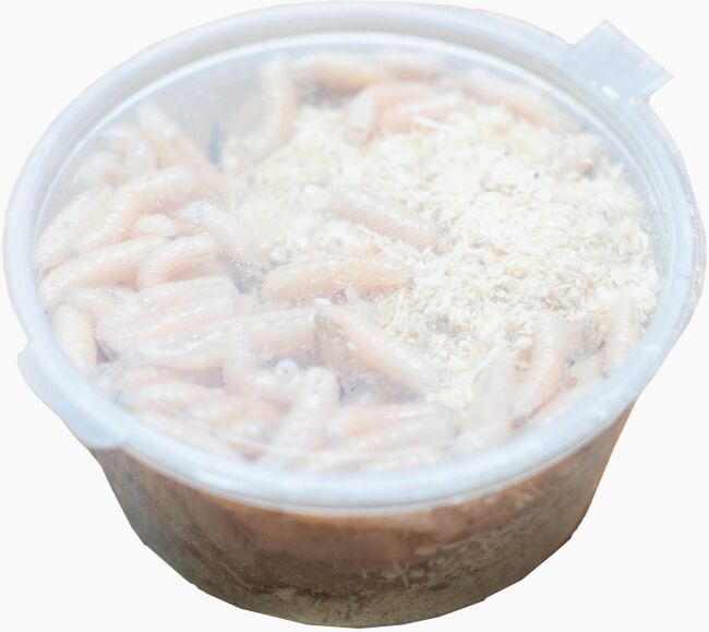 Опарыш белый стандарт Опарыш белый стандарт